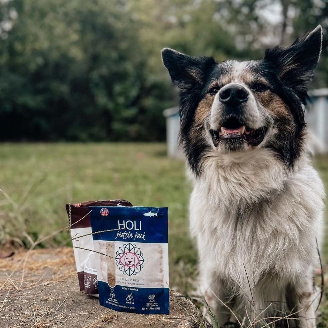 HOLI Elk  Venison Freeze Dried Dog Treats - All Natural and Wild Caught | Vit...