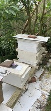 bee hives $250Delivered and set up Locally