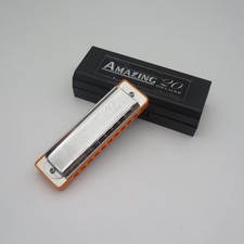 10-hole Harmonica, Blues Instruction for Adults, Beginners, and Professionals.