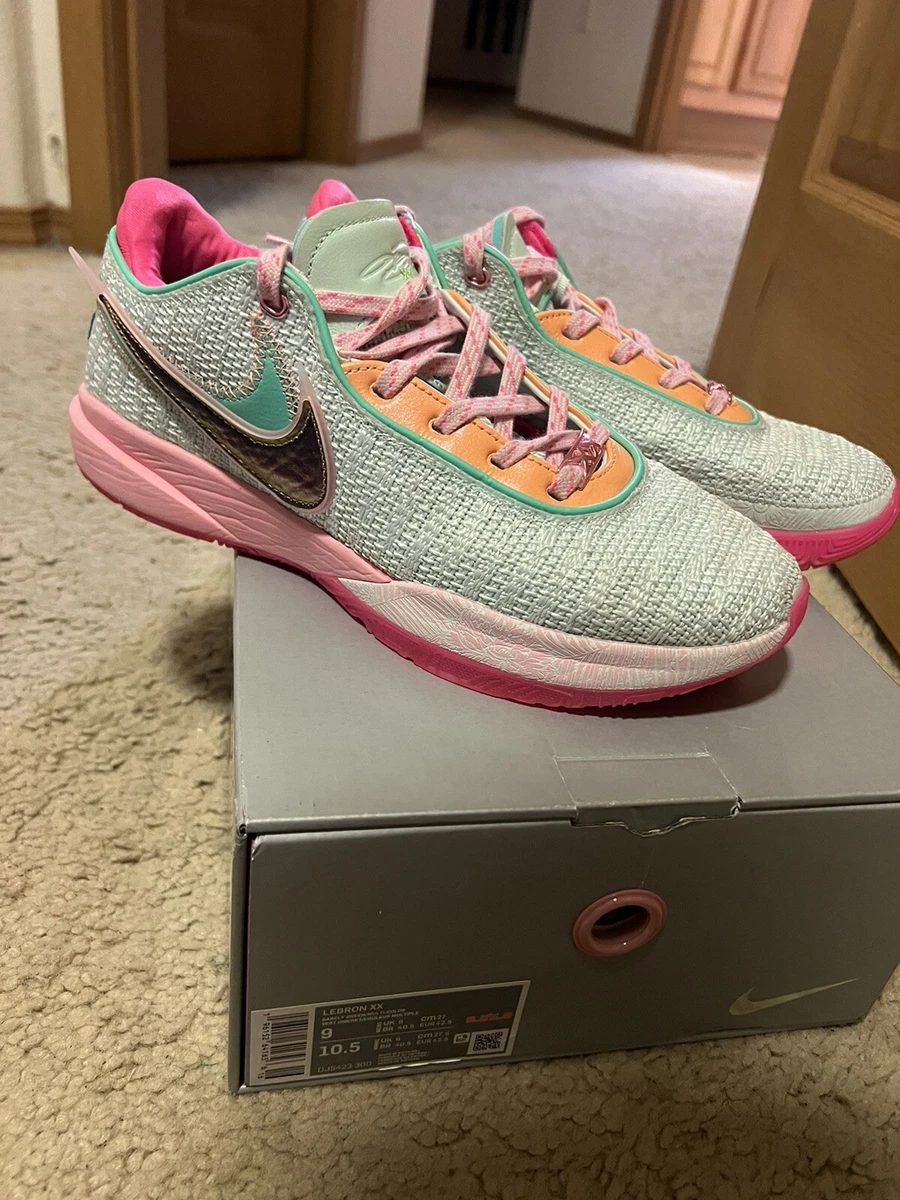 Nike Lebron 20 XX Time Machine 2022 Mens Size 9 DJ5423-300 Pink
