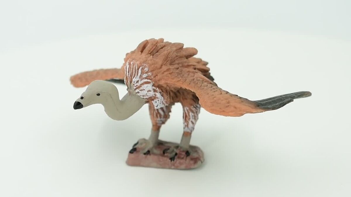 Vulture Bird, Realistic Toy Figure, Model, Replica, Gift, 4
