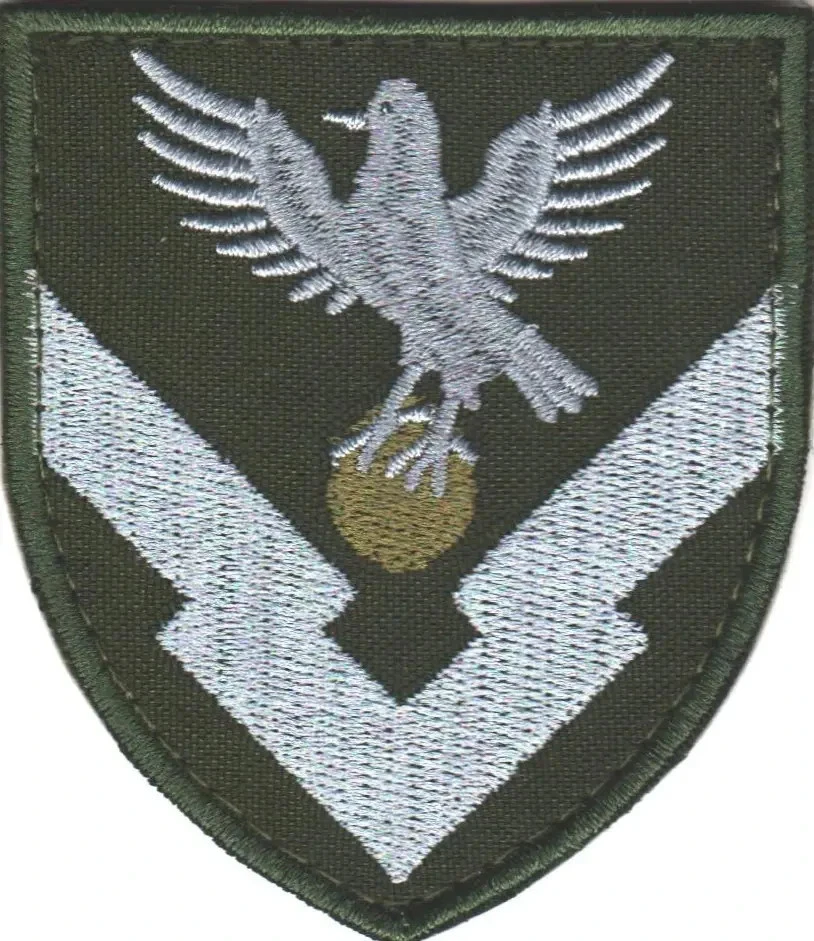 Patches of Various Ukrainian Army Units (Chevrons) 2014-2026