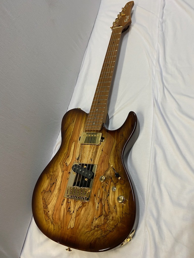 FUJIGEN FGN EIL-EW1-HS-RM HCB | eBay