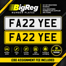 FA22 YEE FAYE FAY FAYNE GIFT UK CAR PERSONALISED NUMBER PLATE