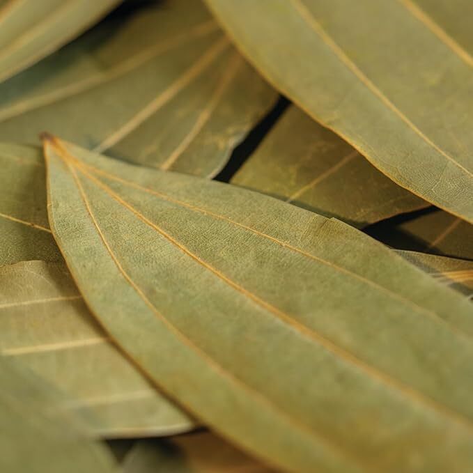 Dried Bay Leaf Indian Organic Spices Tej Patta Natural Dried Spice Pure Herbs