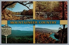 Vintage Mountaineer Country Postcard Greenbriar River, Camp Creek Forest