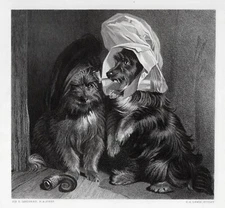 Superb Henry Edwin Landseer 1800s Engraving "Comical Dogs" SIGNED Framed COA
