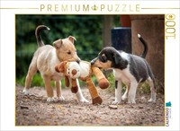 Calvendo Puzzle Short-Haired Collie Puppies | 1000 Pieces, Finished Size 25.2 ×