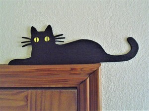 black cat door