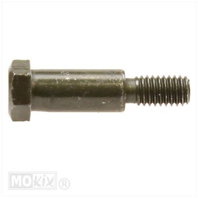 Hebelbolzen (SYM Fiddle II 50cc) Bolzen Hebel