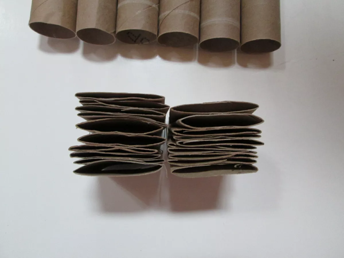 Ebay toilet paper rolls outlet