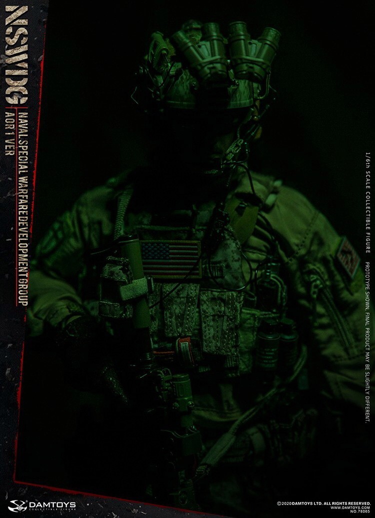 1/6 Scale DAMToys: Navy Seal/ Naval Special Warfare Group AOR1 VER