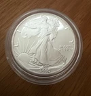 1990 S American Eagle Walking Liberty Silver Dollar Proof, OGP & COA
