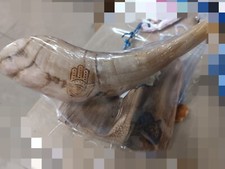 shofar decorative + stand