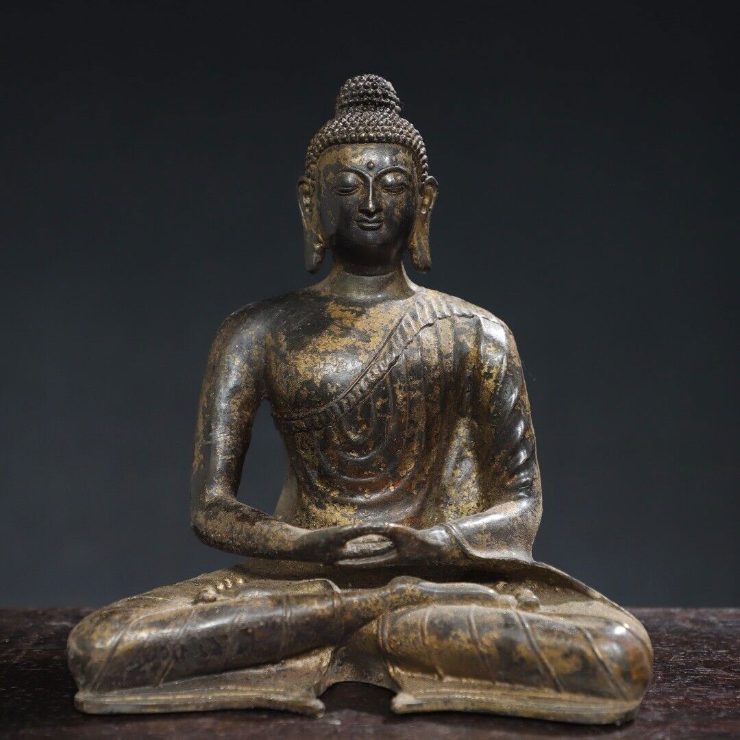 標本 Tibet Cheirotonusmacleayi 59mm Free Tibet Sign - Walmart.com