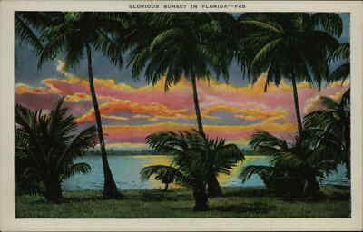 Postcard: GLORIOUS SUNSET IN FLORIDA-F45