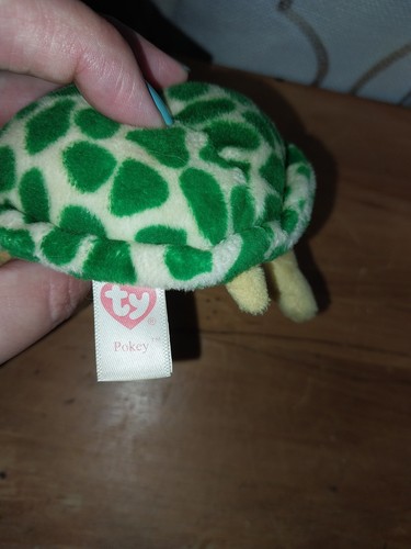 Ty Beanie Boos POKEY die Schildkröte 6 Zoll Sitzsack Plüschtier Stofftier Spielzeug Glitzeraugen - Bild 7 von 9