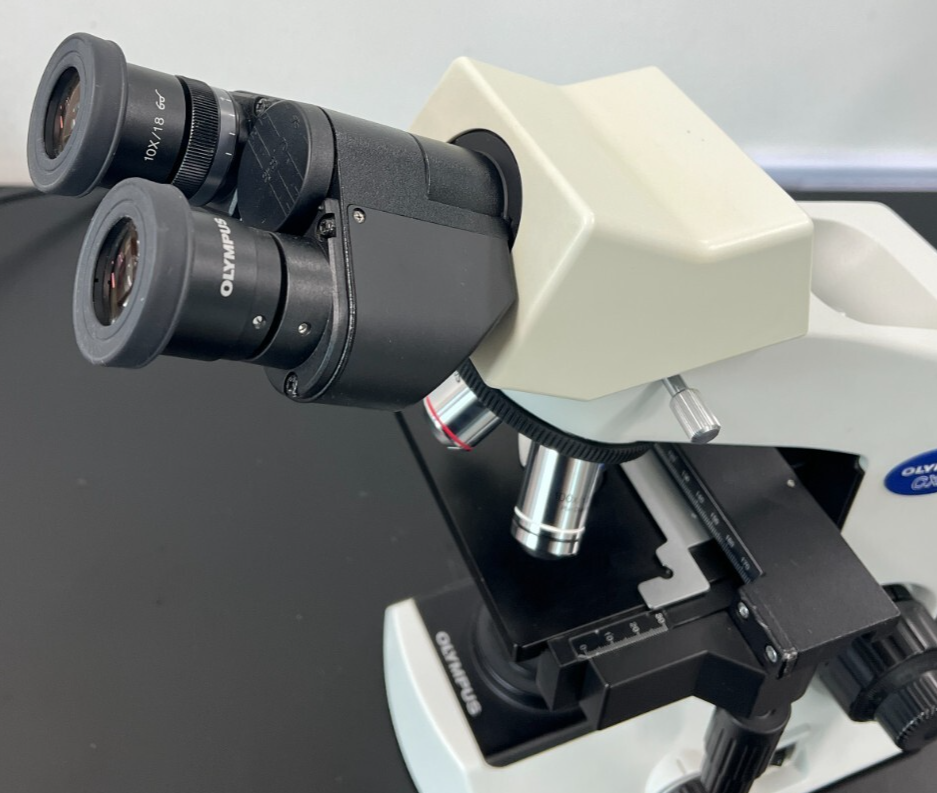 MK　OLYMPUS Olympus microscope CX21 Binocular 40x 100x 400x 1000x (USED) | eBay