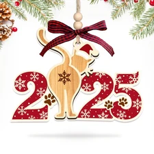 Cat Ornament for Christmas Tree 2025 - Funny Gag Gifts for Women Kitty Lovers