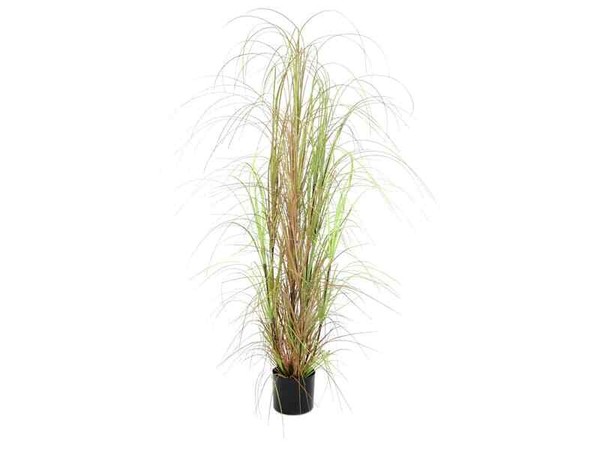 Europalms Grasbusch, 150Cm - Kunstpflanze-image