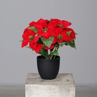 KüNstlicher Weihnachtsstern Poinsettie Rot 37Cm Im Schwarzen Kunststofftopf