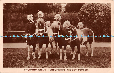 R321239 Broncho Bill Performing Midget Ponys RP