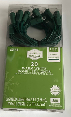Holiday Time Clear Dome LED 20 Light String ~ Battery Op w/ Timer Green Wire NEW