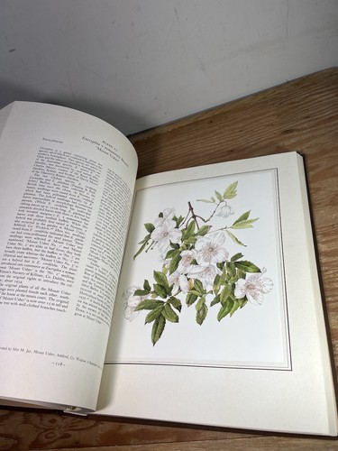 An Irish Florilegium Hardcover Wendy Walsh - 第 15/21 張圖片