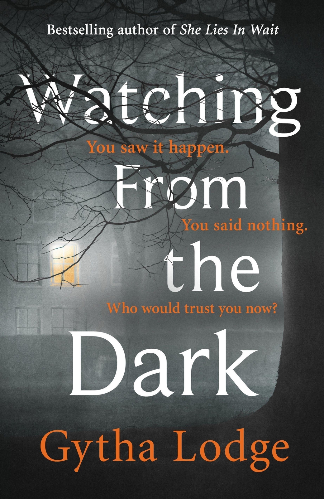 Thumbnail - Gytha Lodge | Watching From The Dark | Taschenbuch | Englisch (2020) |