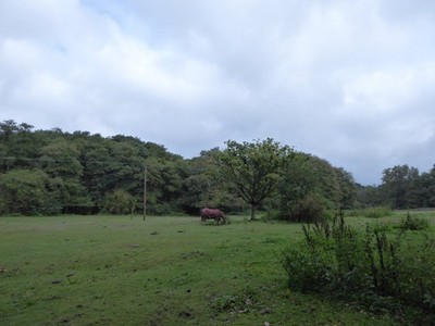 Foto 6x4 St Edmund's Way: Before the rain (7) Brandon\/TL7886 c2017