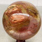 Natural Petrified Wood Polished Stone Quartz Crystal Sphere Ball Healing 2480G — photo 2