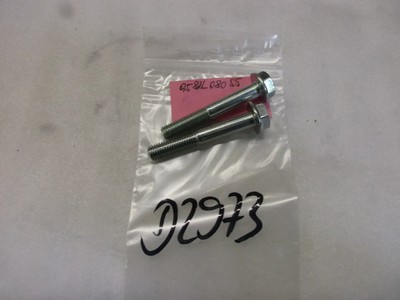 Schrauben Felge D2973 Yamaha TZR 80 RR Kettenrad 9582L08055 hinten Bolt