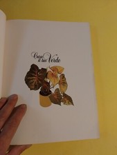 CURA IL TUO VERDE LONGMAN 1984 MONDADORI SENZA SOVRACOPERTINA