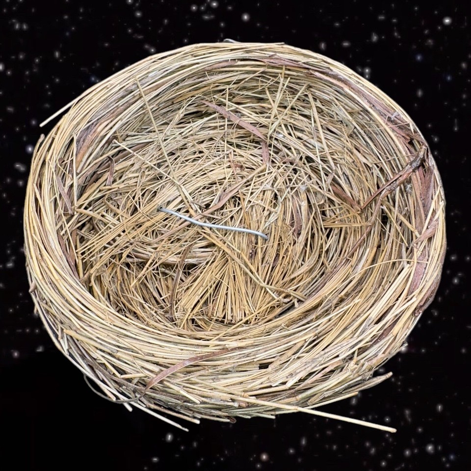 Figural Bird Nest Figurine Decorative 5 Eggs Laying On A Nest Figurine