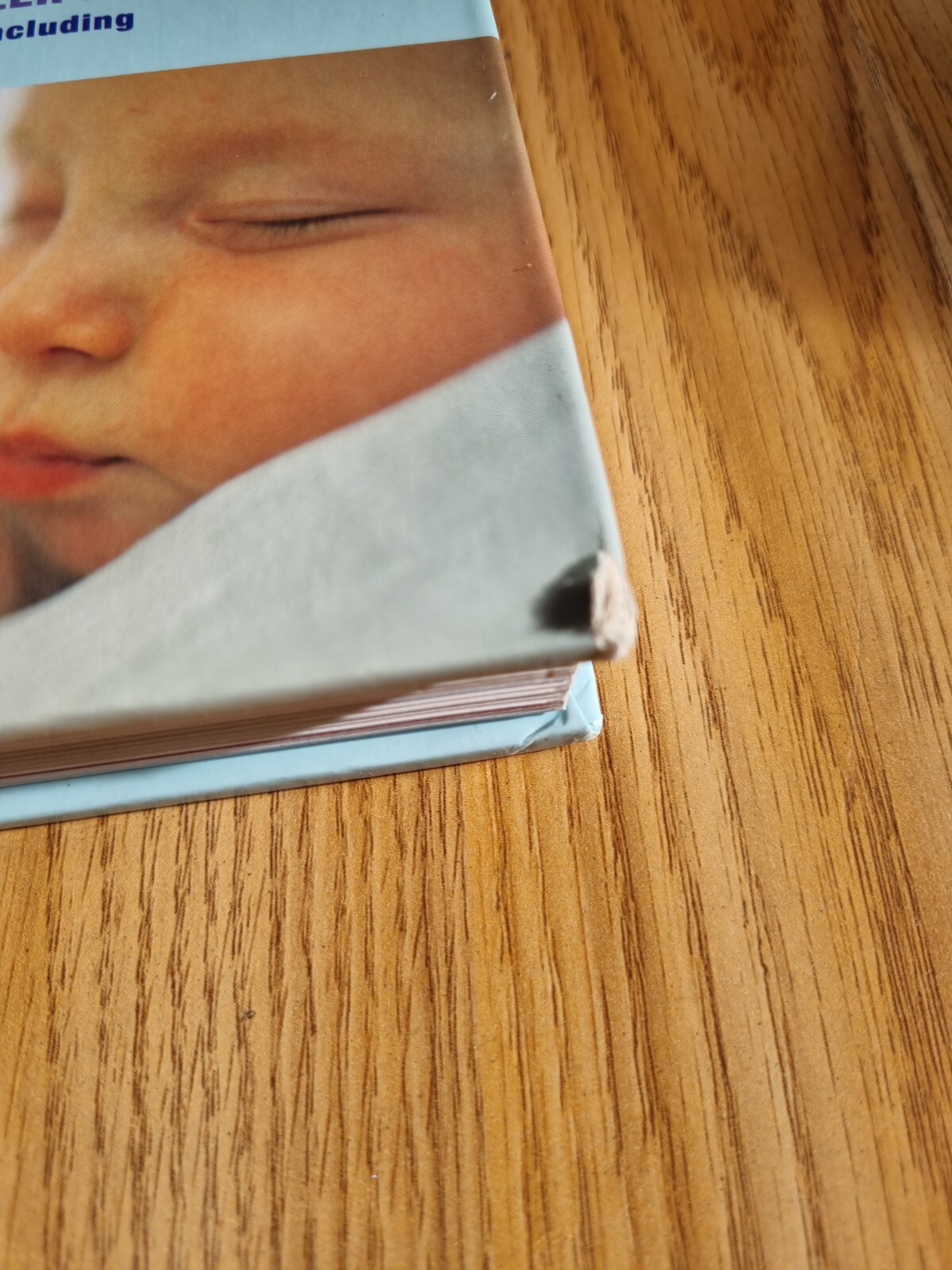 Annabel Karmel's Complete First Year Planner by Annabel Karmel