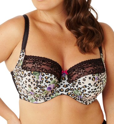 panache reggiseni