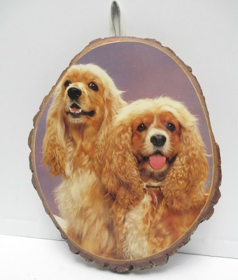 cocker spaniel trading post