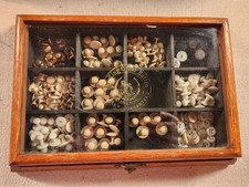 ANTIQUE KING COLLAR BUTTON DISPLAY CASE WITH CONTENTS, RARE CASE