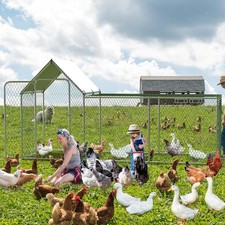Heavy Duty Chicken Coop, Galvanized Frame, PVC-Coated Wire, UV Waterproof Cover