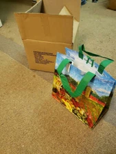 NEW EARTHWISE REUSABLE / COLLAPSIBLE GROCERY SHOPPING BAGS SILO PRINT (QTY 20)