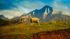 Landscape sheep nature animals Custom Gaming Mat Desk
