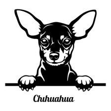 Chihuahua Auto Aufkleber 9X9 cm Hunde Sticker Mit Wunschname Personalisierbar