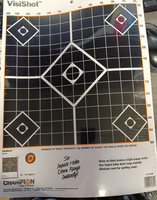 Champion VisiShot Sight In Target Use w/Small/Large Calibers 10/Pack 45804