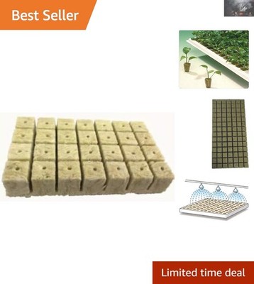 1.5'' Rockwool Starter Cubes - Pre-Drilled for Easy Planting & Vigorous Growth