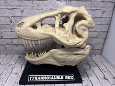 T-Rex 3D printed dinosaur skull large bone colored realistic With Stand Bone PLA