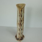 Bild 3 von 8