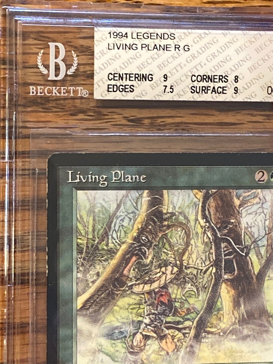 Living Plane MTG Legends BGS Grade 8/7.5/8/9 “8” NM-MT Beauty (RG
