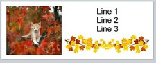Personalized Address labels Fall Autumn Kitty Cat  jx 162 