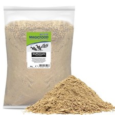 Angel Lockfutter Grundfutter