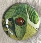 John Derian & Company Round Glass Paperweight Ladybug  — photo 4